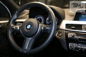 BMW X2 sDrive 20i M Sport X 